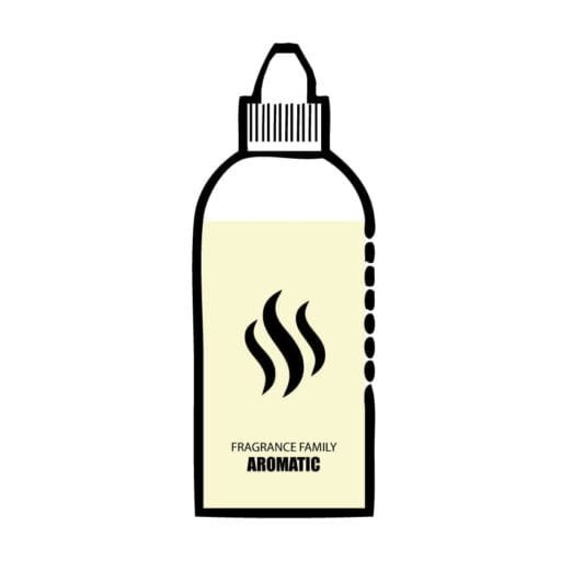 Silver Mountain Fragrance Oil 10 Perfume Extract Aromatic Fragrance Oil