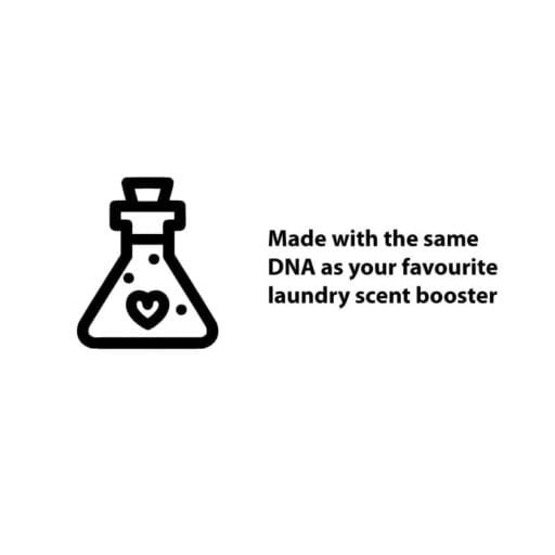 Laundry Bliss Fragrance Oil 8 perfume extract dna laundry