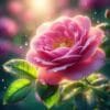 Rose Givco 217 5 PEA (G) 2 Rose Givco 217 Rose Absolute Replacer