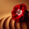 Geranium EO Egypt 1 Geranium EO Egypt