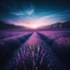 Lavender EO French (High Altitude) 1 Lavender EO French High Altitude