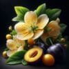 Mirabelle 002000 F (F) 2 Mirabelle 002000 F