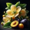 Mirabelle 002000 F